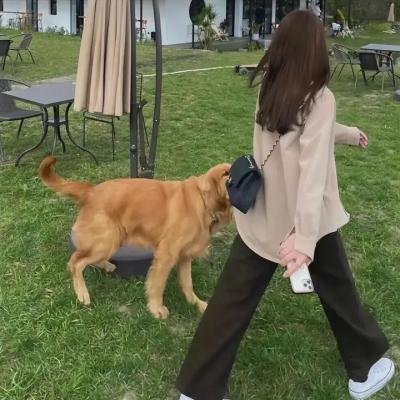 龙与地下城:秽恶之书